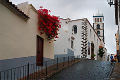 photo "Garachico"