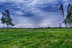 фото "Весна Красна"