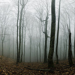 photo "Fogs of Neberdjay"