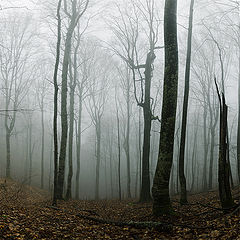 photo "Fogs of Neberdjay"