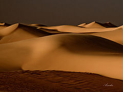 photo "Sand dunes"