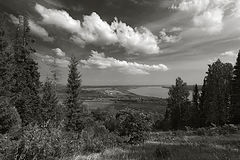 photo "***"