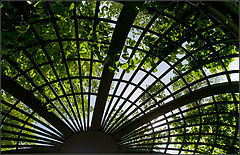 photo "St. Petersburg. Summer garden. Pergola"