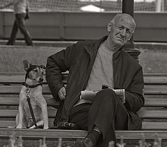 photo "***"