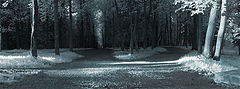photo "***"