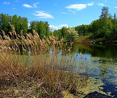 photo "***"
