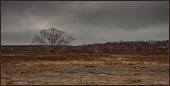 photo "***"