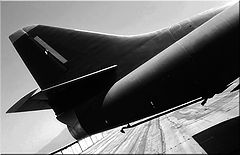 фото "Tail Hook"