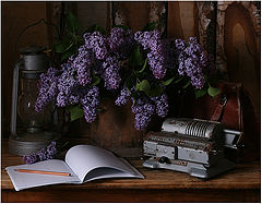 photo "***"