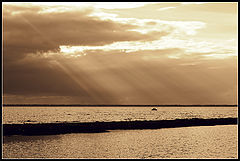 photo "***"
