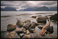 photo "Fjord Escort"