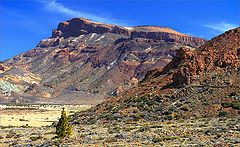 photo "En las montañas de Tenerife"