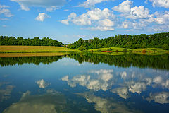 photo "***"