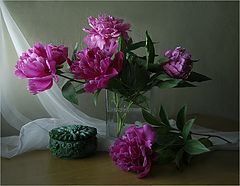 фото "..."