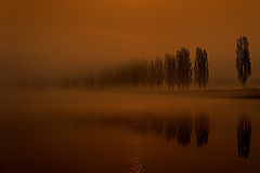 photo "A morning"