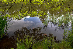 photo "***"