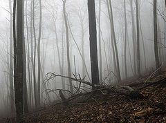 photo "Fogs of the Neberdjay"