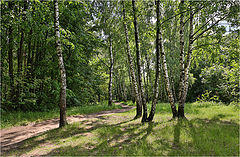 photo "Summertime"