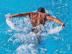 photo "Butterfly swimmer"