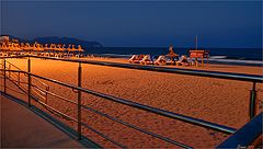 photo "Evening study"