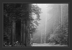 photo "***"