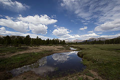 photo "Yosemite National Park"