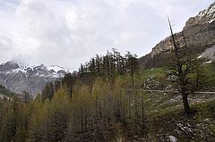 фото "Альпы в начале лета"
