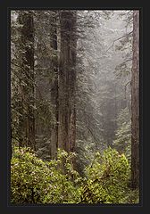photo "***"
