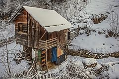 photo "Живот в планината !"