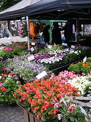 фото "Street market"