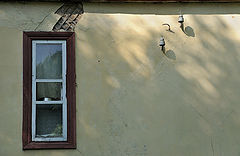 фото "***"