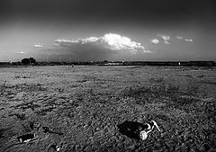 photo "toys"