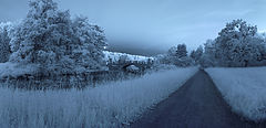 photo "***"