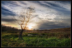 photo "***"