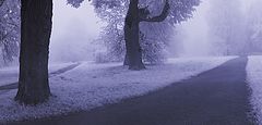 photo "***"