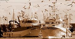photo "in the harbour"