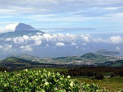 photo "Pico"