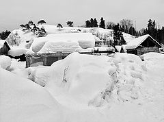 фото "освежающая"