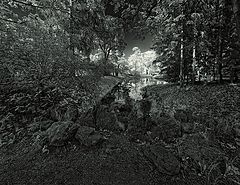 photo "***"