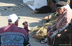 photo "conversation"