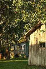 photo "***"
