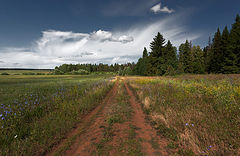 photo "***"