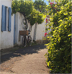 photo "vendée"