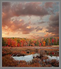 фото "Sunset over Pine Swamp"