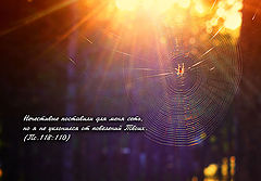 photo "***"