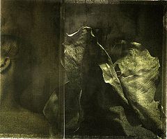 photo "ELEPHANT"
