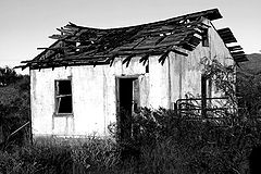 фото "Old Shack in New Mexico"