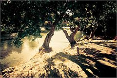фото "Preveli"