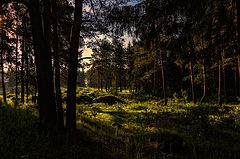 фото "Запрудный"