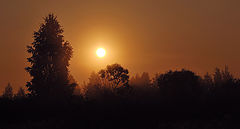 photo "***"